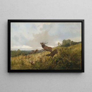 Christoffer Drathmann - Rotwild in herbstlicher Landschaft.webp