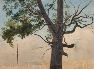 Arbre solitaire - Chrystian Breslauer — näkymä teoksesta