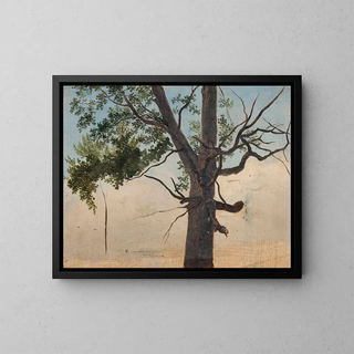 Arbre solitaire - Chrystian Breslauer — kehystetty taideteos seinällä