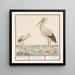 Cigogne Ciconia ciconia - Anselmus Botius de Boodt — kehystetty taideteos seinällä