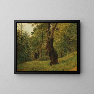Circle of Friedrich Gauermann - A Tree at the Edge of the Woods.webp
