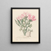 Céropégie tai Echites Pachypodium succulentum - Clemenz Heinrich Wehdemann — kehystetty taideteos seinällä