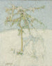 Luminen maisema Ardenneilla - Constant Permeke — näkymä teoksesta