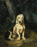 Un Basset Hound assis - Constant Troyon — näkymä teoksesta