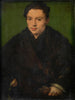 Portrait d'un homme 2 - Corneille de Lyon — näkymä teoksesta