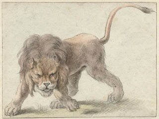 Lion - Cornelis Saftleven — näkymä teoksesta