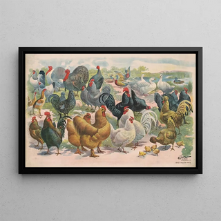 Courier Litho Co - Poultry.webp