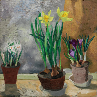 Crocus et jonquilles en pots - Christopher Wood