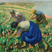 Tulppaaninpoimijat - Harold Harvey — näkymä teoksesta