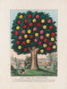 L'Arbre de tempérance - Currier Ives — näkymä teoksesta