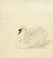 Cygne tuberculé - Aert Schouman — näkymä teoksesta