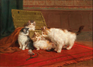 Daniel Merlin - Cats.webp