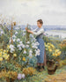 Krysanteemit - Daniel Ridgway Knight — näkymä teoksesta