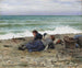 Marée haute à Étretat - Daniel Ridgway Knight — näkymä teoksesta
