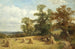 Maissipellosta West Malvernissä - David Bates — näkymä teoksesta
