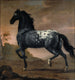 La vie de Charles XI au Tigre - David Klöcker Ehrenstrahl — näkymä teoksesta