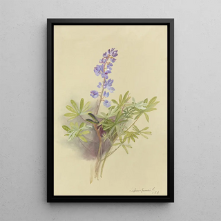 Deborah Griscom Passmore - Deborah Griscom Passmore watercolor album Pl11.webp