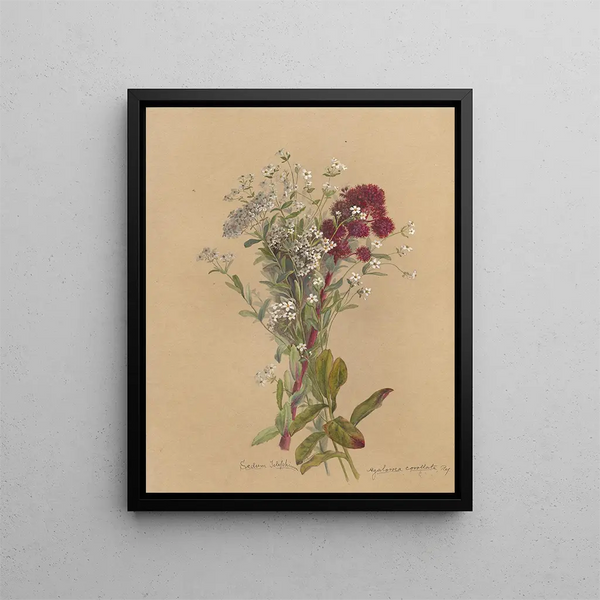 Deborah Griscom Passmore - Deborah Griscom Passmore watercolor album Pl14.webp