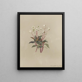 Deborah Griscom Passmore - Deborah Griscom Passmore watercolor album Pl23.webp