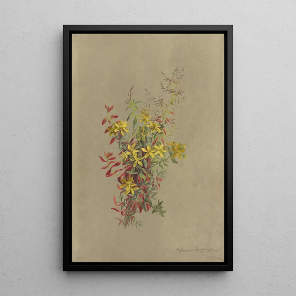 Deborah Griscom Passmore - Deborah Griscom Passmore watercolor album Pl26.webp