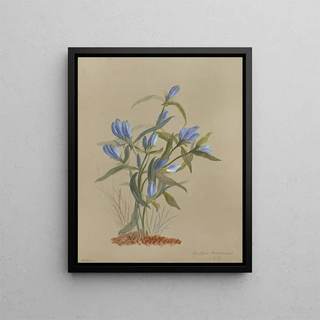 Deborah Griscom Passmore - Deborah Griscom Passmore watercolor album Pl31.webp