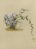 Album akvarelli Deborah Griscom Passmore Pl32 - Deborah Griscom Passmore — näkymä teoksesta