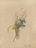 Album akvarelli Deborah Griscom Passmore Pl37 - Deborah Griscom Passmore — näkymä teoksesta