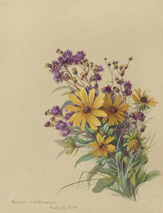 Deborah Griscom Passmore - Deborah Griscom Passmore watercolor album Pl51.webp