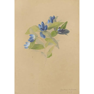 Deborah Griscom Passmore - Deborah Griscom Passmore watercolor album Pl69.webp