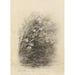 Maalauksen jäljennös Deborah Griscom Passmore - Akvarellialbumi Pl72 - Deborah Griscom Passmore