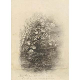 Deborah Griscom Passmore - Deborah Griscom Passmore watercolor album Pl72.webp