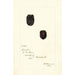 Rubus Lucretia - Deborah Griscom Passmore — näkymä teoksesta