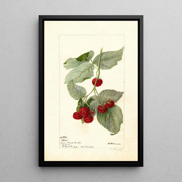 Maalauksen jäljennös Rubus Miller - Deborah Griscom Passmore