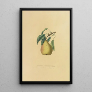 Dellon Marcus Dewey - Beurre Superfin Pear.webp