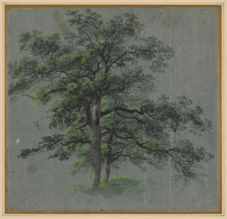 Deux arbres - Johann Jacob Dorner