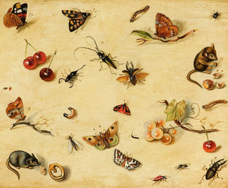 Dutch School - Flora and Fauna.webp