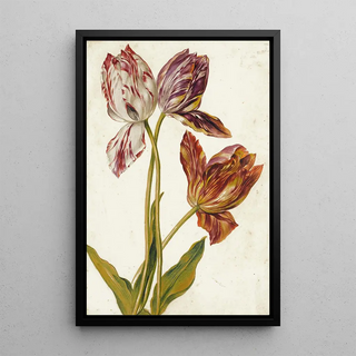 Dutch School - Tulips.webp