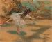 Tanssija baletissa - Edgar Degas — näkymä teoksesta