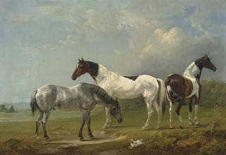 Edmund Bristow - Two Skewbalds a grey and spaniel in an extensive landscape a country house beyond.webp