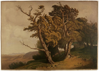 Edmund Kanoldt - Eichen.webp