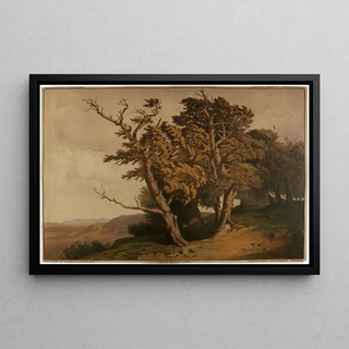 Edmund Kanoldt - Eichen.webp