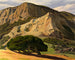 Chênes et rochers à San Luis Obispo - Edward Bruce — näkymä teoksesta