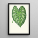 Maalauksen jäljennös Caladium mirabile - Edward Joseph Lowe