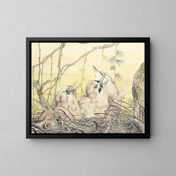 Le Geai - Edward Julius Detmold — kehystetty taideteos seinällä