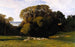 Nuneham-maalaus - Edward Lear — näkymä teoksesta