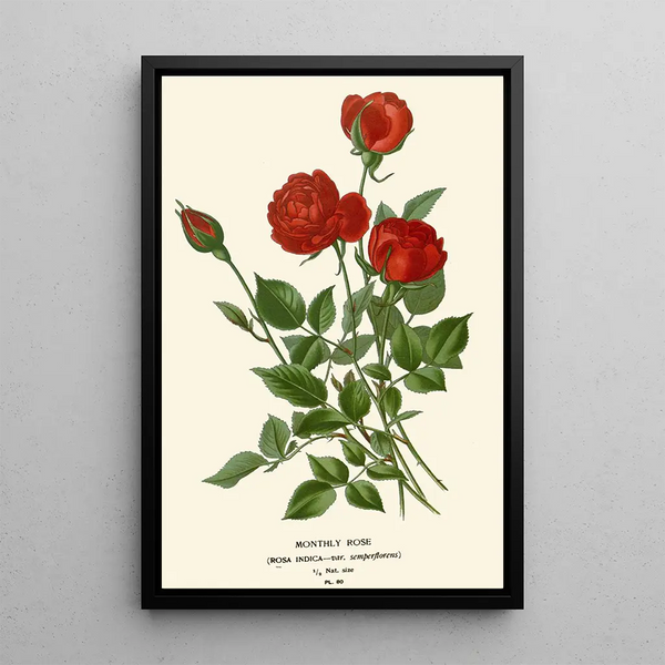 Rose kuukausittainen maalaus - Edward Step — kehystetty taideteos seinällä