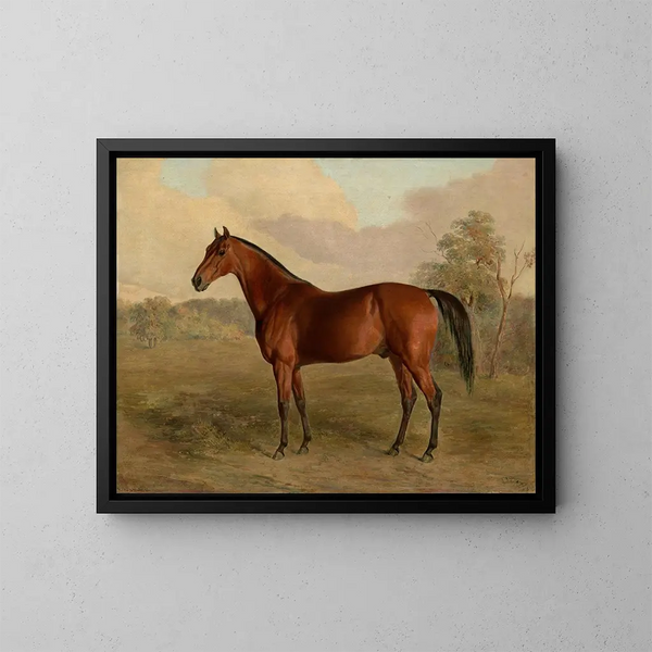 Pic du Kentucky - Edward Troye — kehystetty taideteos seinällä