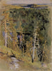Metsämaisema - Eero Järnefelt — näkymä teoksesta