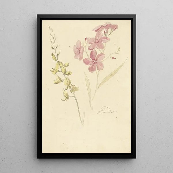 Elias van Nijmegen - Oleander en brem.webp