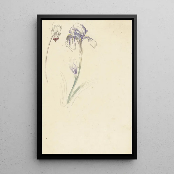 Elias van Nijmegen - Studie van iris en cyclaam.webp